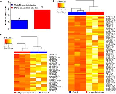 MiR-144-3p Enhances Cardiac Fibrosis After Myocardial Infarction by Targeting PTEN